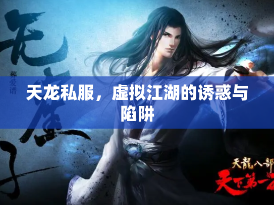 天龙私服，虚拟江湖的诱惑与陷阱