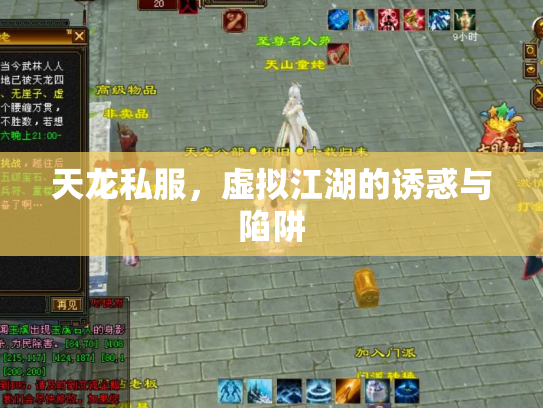天龙私服，虚拟江湖的诱惑与陷阱