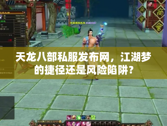天龙八部私服发布网，江湖梦的捷径还是风险陷阱？