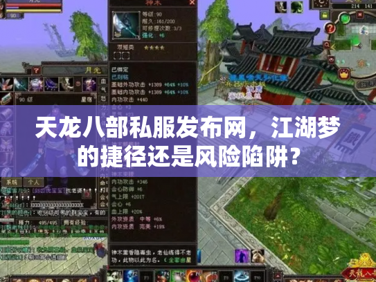 天龙八部私服发布网，江湖梦的捷径还是风险陷阱？