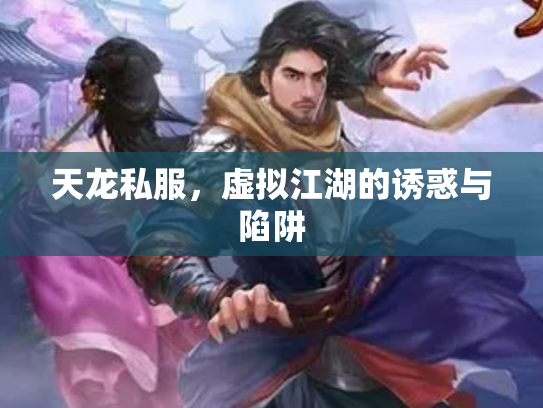 天龙私服，虚拟江湖的诱惑与陷阱