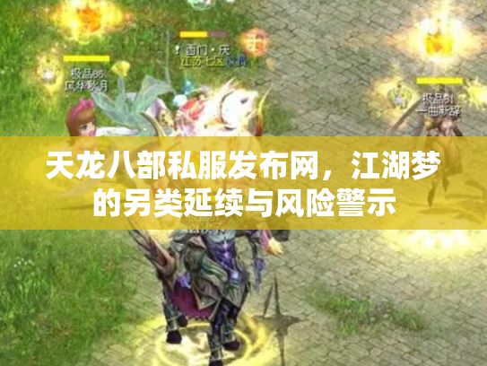 天龙八部私服发布网，江湖梦的另类延续与风险警示