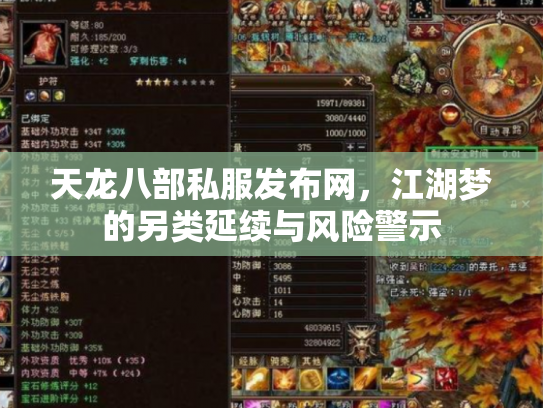 天龙八部私服发布网，江湖梦的另类延续与风险警示