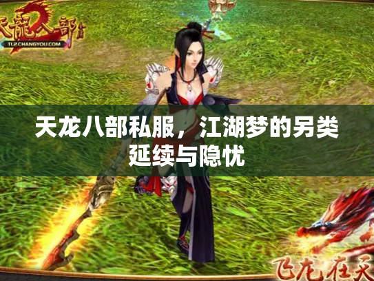 天龙八部私服，江湖梦的另类延续与隐忧
