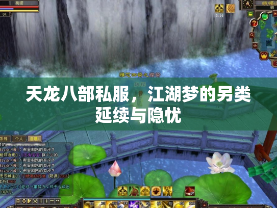天龙八部私服，江湖梦的另类延续与隐忧