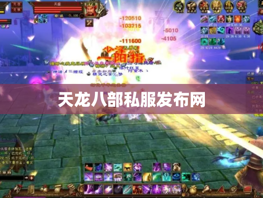 天龙八部私服发布网