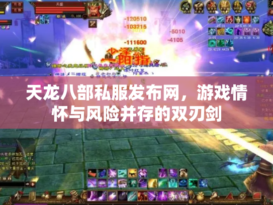 天龙八部私服发布网，游戏情怀与风险并存的双刃剑
