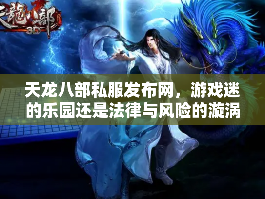 天龙八部私服发布网，游戏迷的乐园还是法律与风险的漩涡？