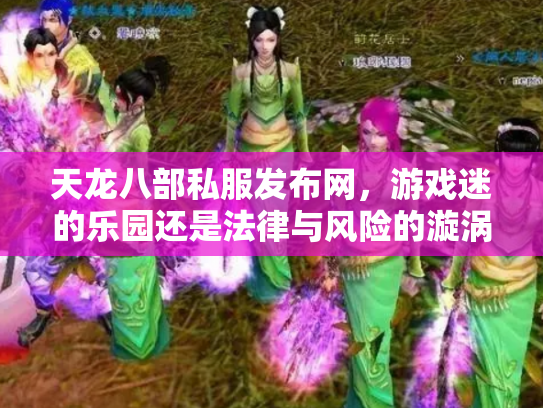 天龙八部私服发布网，游戏迷的乐园还是法律与风险的漩涡？