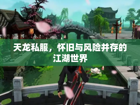 天龙私服，怀旧与风险并存的江湖世界
