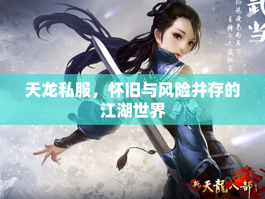 天龙私服，怀旧与风险并存的江湖世界