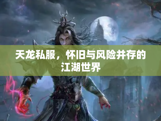 天龙私服，怀旧与风险并存的江湖世界