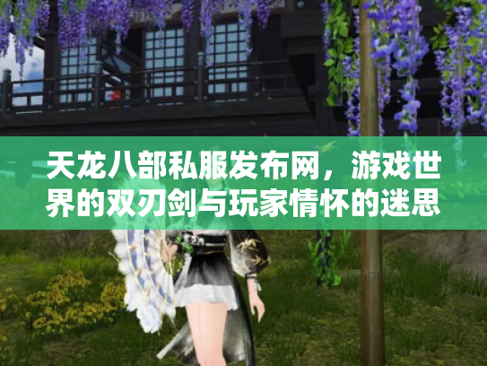 天龙八部私服发布网，游戏世界的双刃剑与玩家情怀的迷思