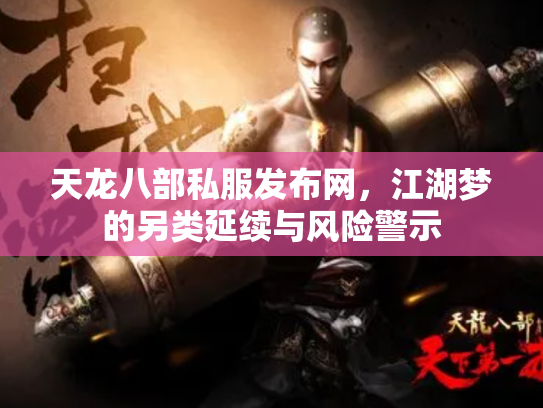 天龙八部私服发布网，江湖梦的另类延续与风险警示