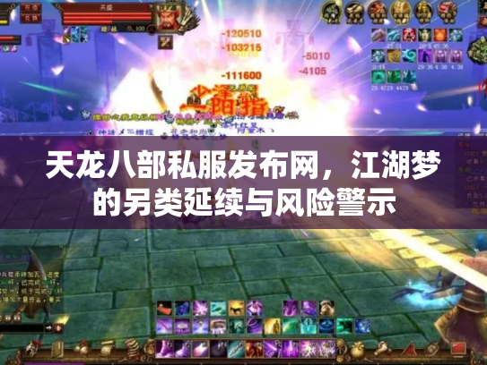 天龙八部私服发布网，江湖梦的另类延续与风险警示