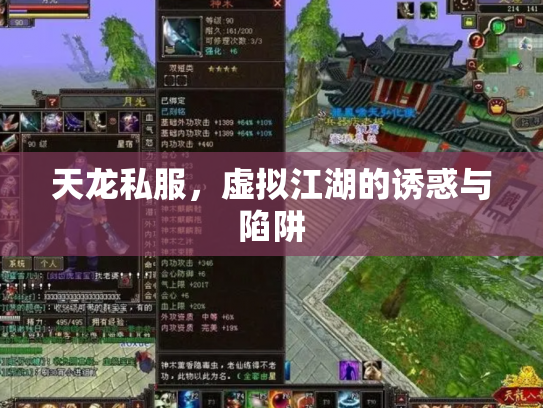 天龙私服，虚拟江湖的诱惑与陷阱