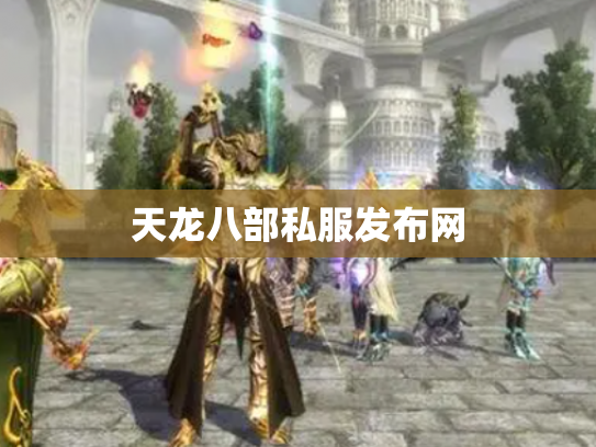 天龙八部私服发布网