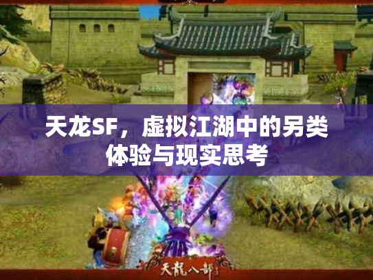 天龙SF，虚拟江湖中的另类体验与现实思考