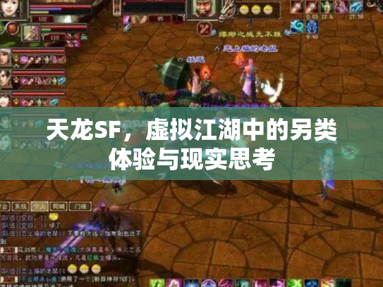 天龙SF，虚拟江湖中的另类体验与现实思考