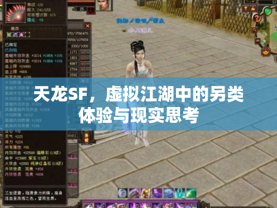 天龙SF，虚拟江湖中的另类体验与现实思考