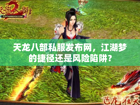 天龙八部私服发布网，江湖梦的捷径还是风险陷阱？