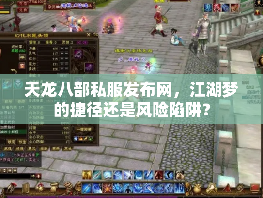 天龙八部私服发布网，江湖梦的捷径还是风险陷阱？