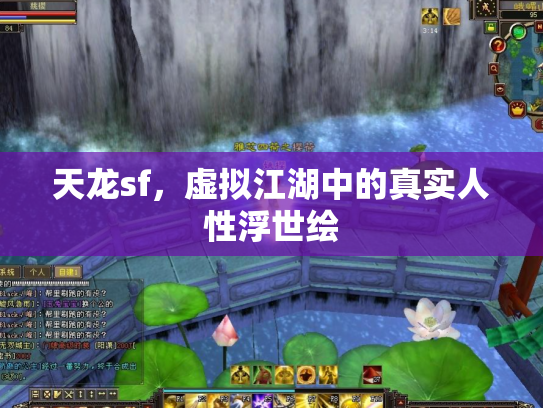 天龙sf，虚拟江湖中的真实人性浮世绘