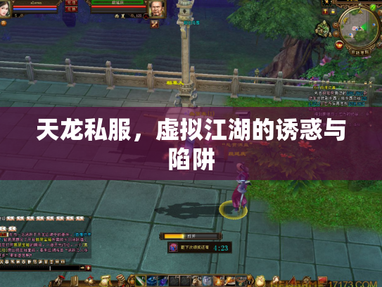 天龙私服，虚拟江湖的诱惑与陷阱