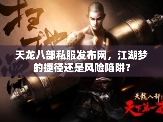 天龙八部私服发布网，江湖梦的捷径还是风险陷阱？