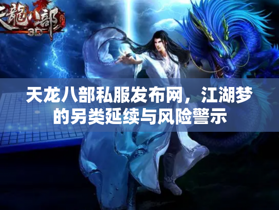 天龙八部私服发布网，江湖梦的另类延续与风险警示