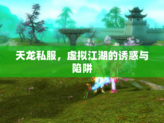 天龙私服，虚拟江湖的诱惑与陷阱