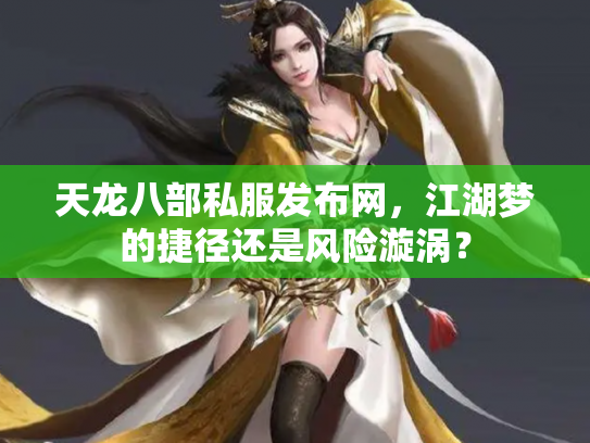 天龙八部私服发布网，江湖梦的捷径还是风险漩涡？