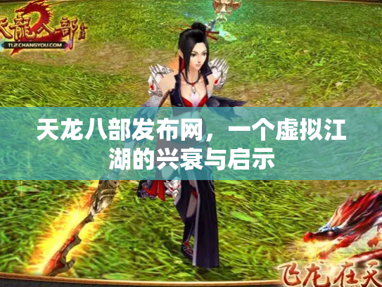 天龙八部发布网，一个虚拟江湖的兴衰与启示