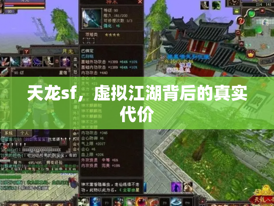 天龙sf，虚拟江湖背后的真实代价