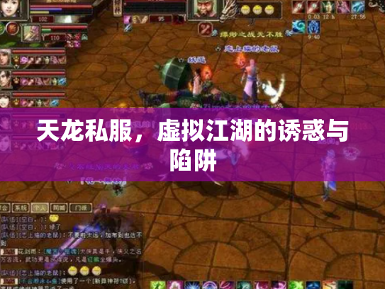 天龙私服，虚拟江湖的诱惑与陷阱