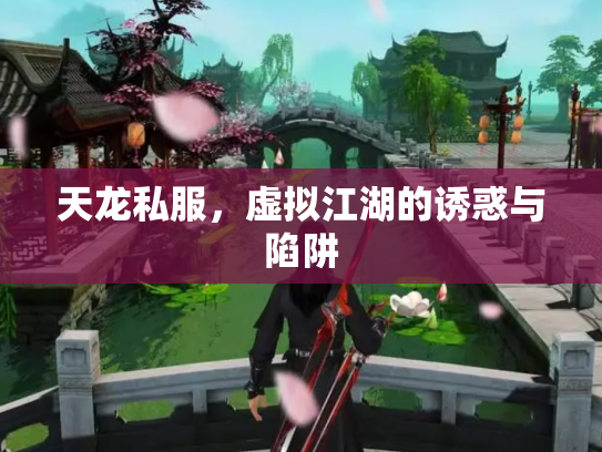 天龙私服，虚拟江湖的诱惑与陷阱