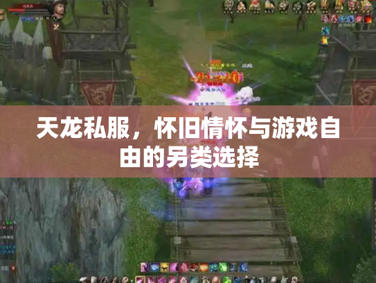 天龙私服，怀旧情怀与游戏自由的另类选择