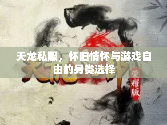天龙私服，怀旧情怀与游戏自由的另类选择