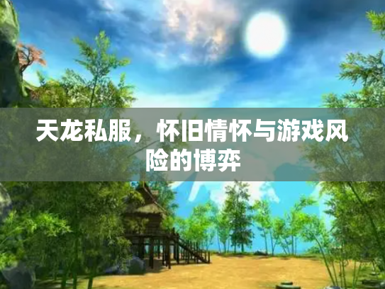 天龙私服，怀旧情怀与游戏风险的博弈