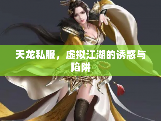 天龙私服，虚拟江湖的诱惑与陷阱
