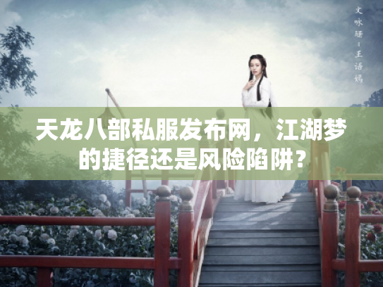 天龙八部私服发布网，江湖梦的捷径还是风险陷阱？