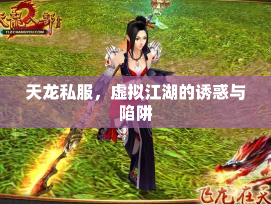 天龙私服，虚拟江湖的诱惑与陷阱