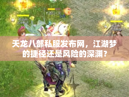 天龙八部私服发布网，江湖梦的捷径还是风险的深渊？