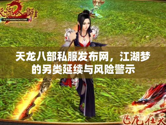 天龙八部私服发布网，江湖梦的另类延续与风险警示