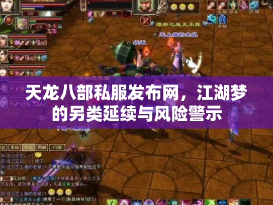 天龙八部私服发布网，江湖梦的另类延续与风险警示
