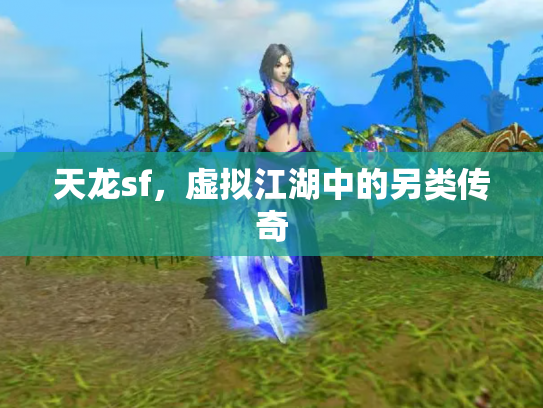 天龙sf，虚拟江湖中的另类传奇