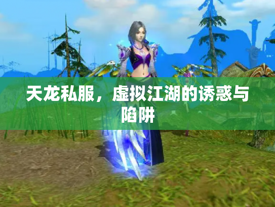 天龙私服，虚拟江湖的诱惑与陷阱