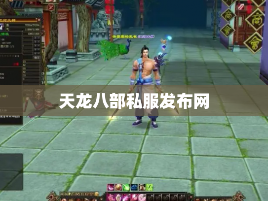 天龙八部私服发布网