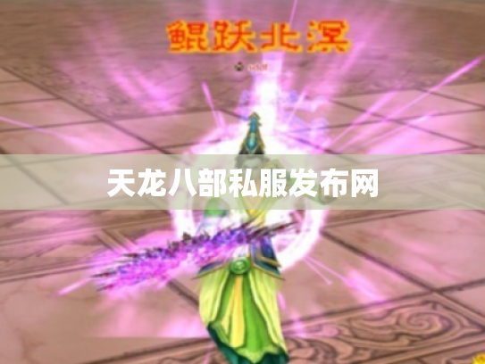 天龙八部私服发布网