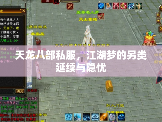 天龙八部私服，江湖梦的另类延续与隐忧